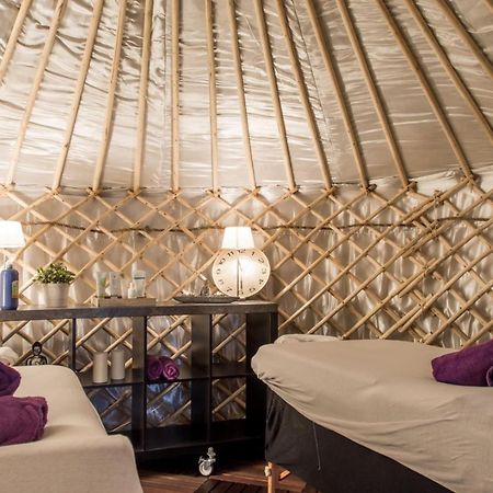 Yurtlife Bed and Breakfast Zaandam Exterior foto